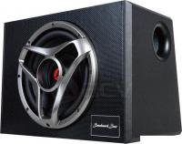 Корпусной активный сабвуфер ACV BBA-12R