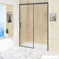 Душевая дверь RGW LE-12B 170