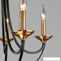 Подвесная люстра Евросвет 60098/5 (Black)