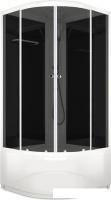 Душевая кабина Domani-Spa Delight 110 High 100x100 (тонированное стекло/черный)