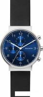 Наручные часы Skagen SKW6417