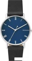 Наручные часы Skagen SKW6434