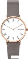 Наручные часы Skagen SKW2674