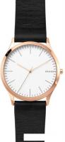 Наручные часы Skagen SKW1102