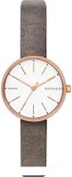 Наручные часы Skagen SKW2644