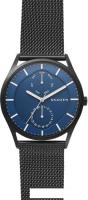 Наручные часы Skagen SKW6450