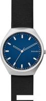 Наручные часы Skagen SKW6385