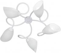 Припотолочная люстра Vitaluce V3396/5PL