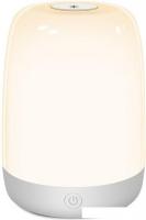 Ночник Evolution A100