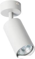 Спот Arte Lamp Aquarius A3216PL-1GY