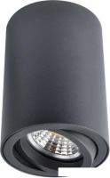 Точечный светильник Arte Lamp Sentry A1560PL-1BK