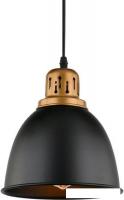 Лампа Arte Lamp Eurica A4245SP-1BK