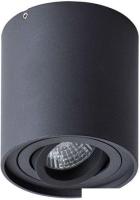 Спот Arte Lamp Falcon A5645PL-1BK