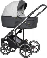 Универсальная коляска Expander Exeo (2 в 1, 01 silver)