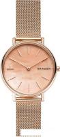 Наручные часы Skagen SKW2732