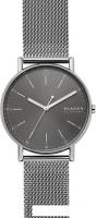 Наручные часы Skagen SKW6577