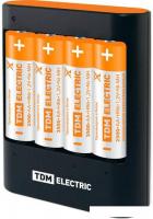 Аккумуляторы + зарядное TDM Electric 36044Н SQ1702-0101