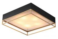 Припотолочная люстра ST Luce Chodo SL1127.422.05