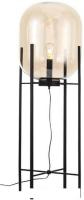 Торшер ST Luce Burasca SL1050.525.01