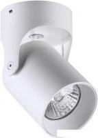 Спот Odeon Light Corsus 3854/1C