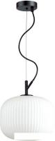 Подвесная люстра Odeon Light Roofi 4753/1