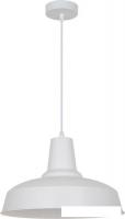 Подвесная люстра Odeon Light Bits 3362/1