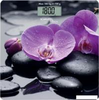 Напольные весы Scarlett SC-BS33E067