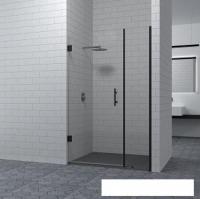 Душевая дверь RGW HO-012B 100