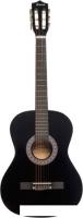 Акустическая гитара Terris TC-3801A BK
