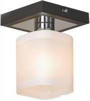 Припотолочная люстра Lussole Costanzo LSL-9007-01