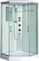 Душевая кабина WeltWasser WW500 Nesse 1004