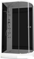 Душевая кабина Domani-Spa Delight 128 120x80 L с гидромассажем (черный/тонированное)