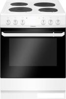 Кухонная плита Hansa FCEW66069