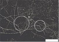 Панель смыва Lavinia Boho Relfix 38050902 (greek black)