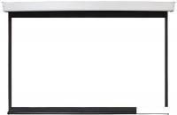Проекционный экран Future Vision Video Electric 240x180 E240VMW