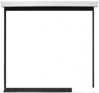 Проекционный экран Future Vision Wall Electric 240x240 E240SMW