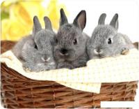 Коврик для мыши Buro BU-M40092