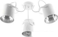 Спот Aitin Pro НПБ 02-3х60-102 K065/3 (белый)