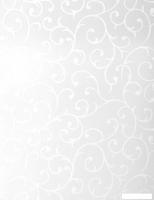 Мини рулонные шторы Delfa Сантайм Жаккард СРШ 01МД 8118 43x170 (белый, рисунок прима)