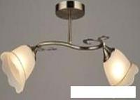 Люстра средней высоты Aitin Pro НПБ 02-2x60-101 C1395/2