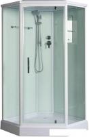 Душевая кабина River Penta 100