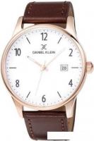 Наручные часы Daniel Klein DK11995-5