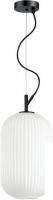 Подвесная люстра Odeon Light Roofi 4751/1