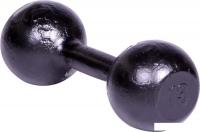 Гантели Titan литая ГЛЧ/13 13 кг