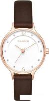 Наручные часы Skagen SKW2472