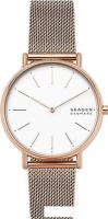 Наручные часы Skagen SKW2784