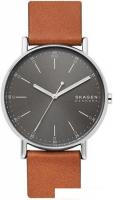 Наручные часы Skagen SKW6578
