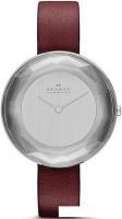 Наручные часы Skagen SKW2273