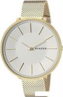 Наручные часы Skagen SKW2722