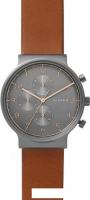 Наручные часы Skagen SKW6418